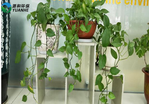 废气乐竞体育网页版登录公司